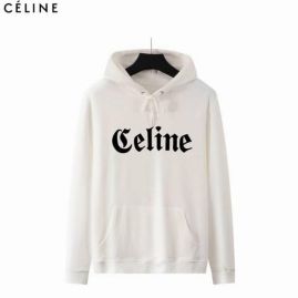 Picture of Celine Hoodies _SKUCelineHoodiess-xxlppt0110275